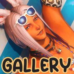 Gallery Gallery